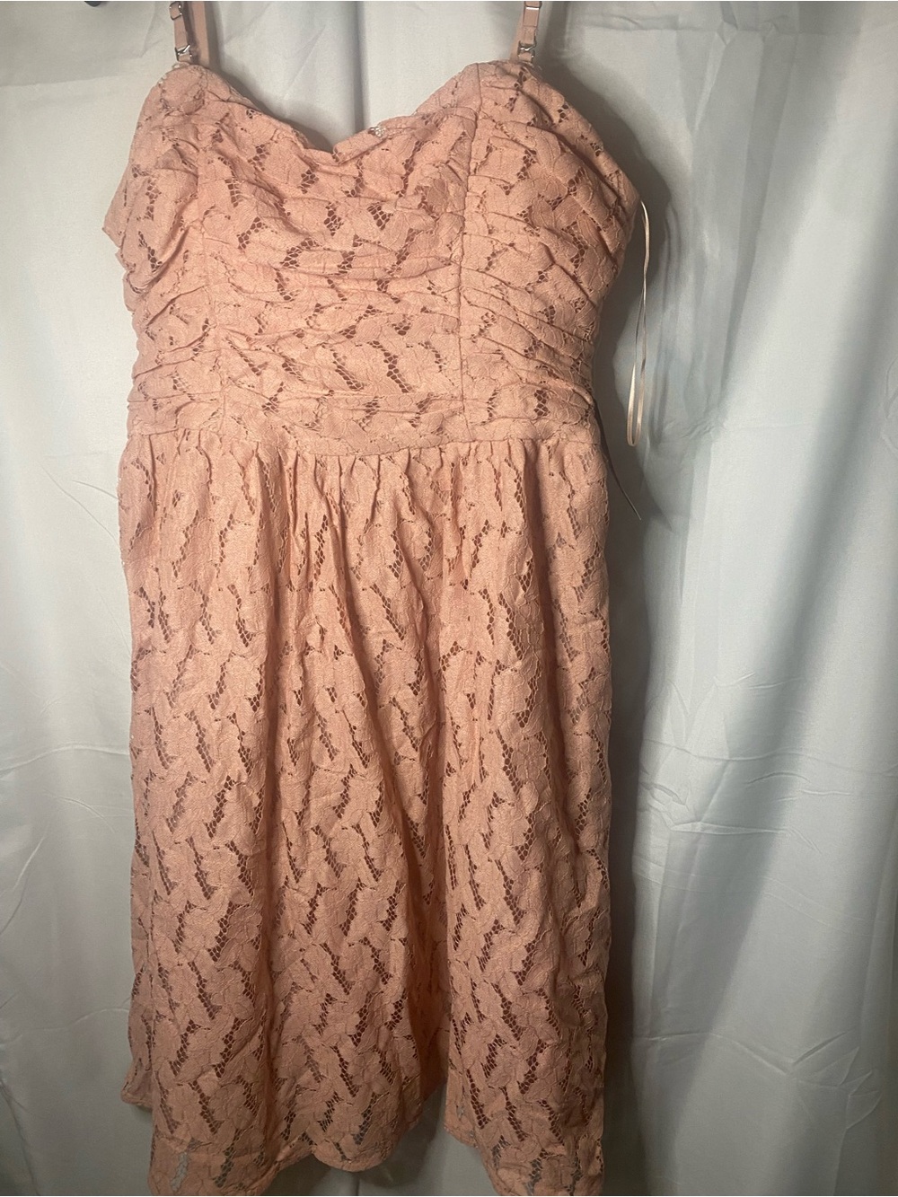 NWT ModCloth Some Enchanted Evening Dusty Pink Lace Fit and Flare Dress As Is